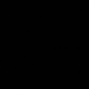 Meet your Posher, Elle